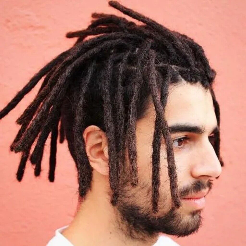 showing locs in comparison to dreads vs locs